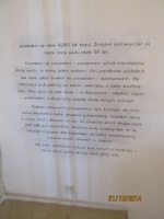 IMG_2726.jpg, 21kB